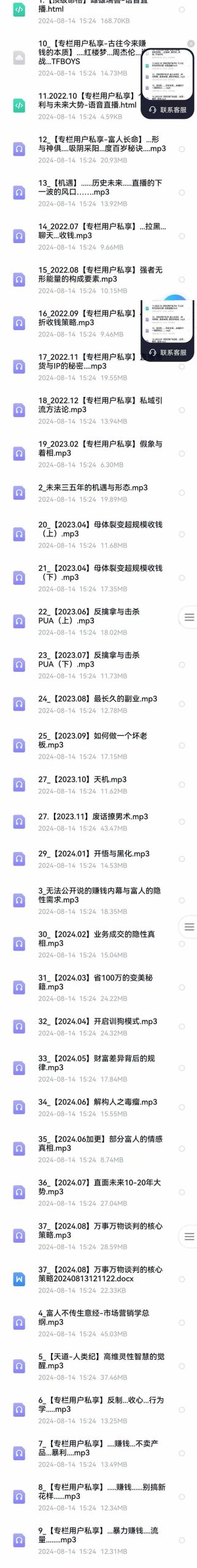 (12492期)全面剖析富人心法与商业实战,从思维到行动,一步步带你走向成功之路-