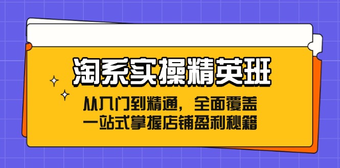 （12276期）淘系实操精英班：从入门到精通，全面覆盖，一站式掌握店铺盈利秘籍-