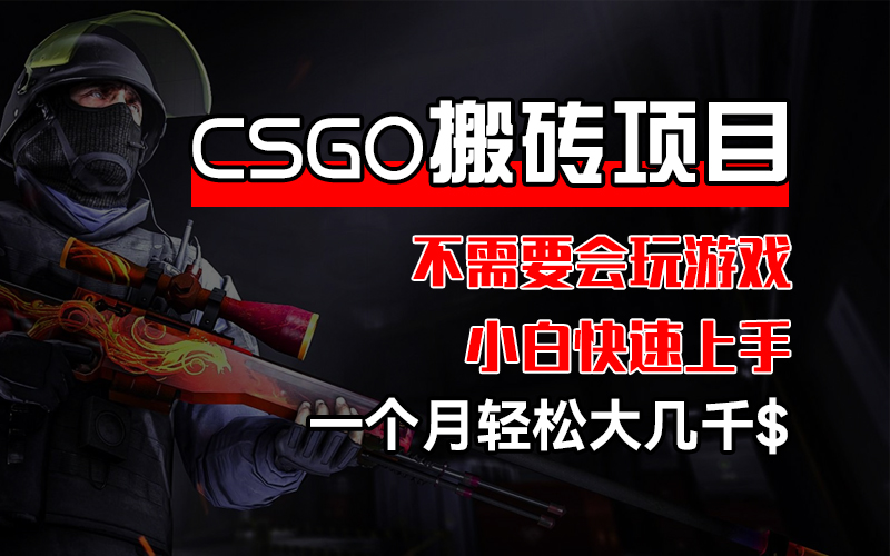 （12332期）CSGO 装备搬砖项目，操作简单，不需要会玩游戏，小白也能快速上手，一…-