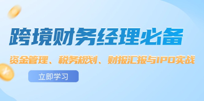 （12323期）跨境 财务经理必备：资金管理、税务规划、财报汇报与IPO实战-创新社-资源网-最新项目分享网站-