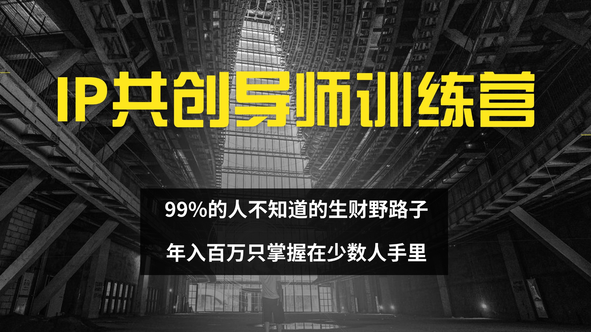 （12504期）IP共创导师训练营 99%的人不知道的生财野路子 只掌握在少数人手里-