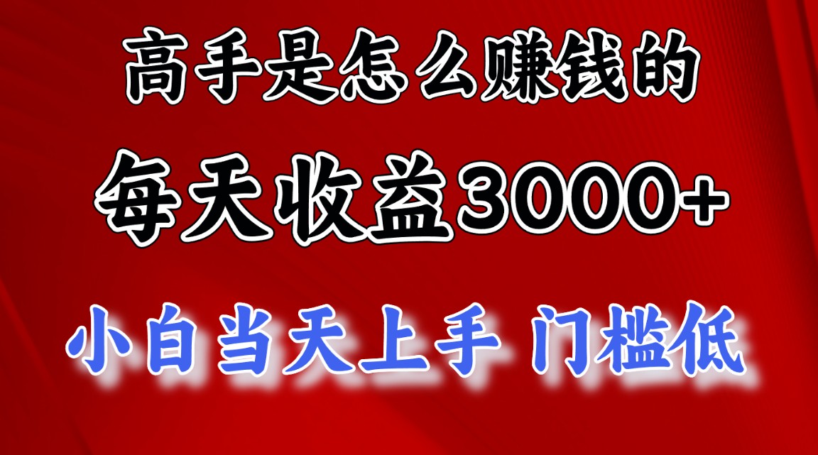 （12144期）1天收益3000+，月收益10万以上，24年8月份爆火项目-