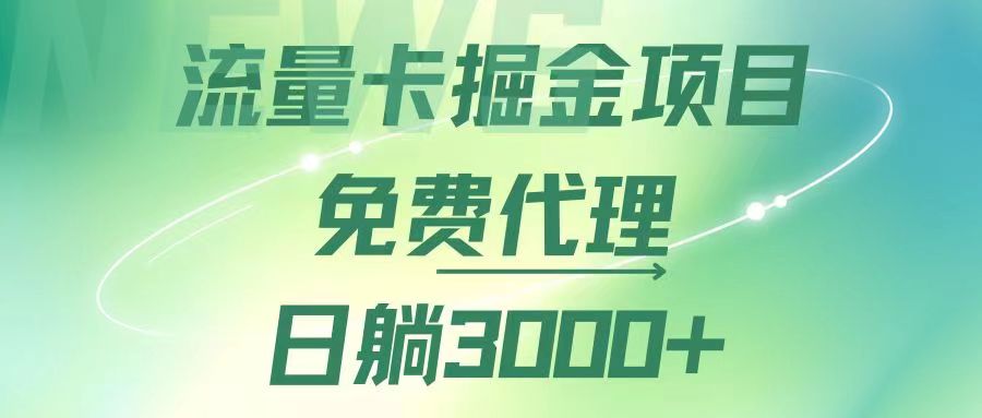 （12321期）流量卡掘金代理，日躺赚3000+，变现暴力，多种推广途径-